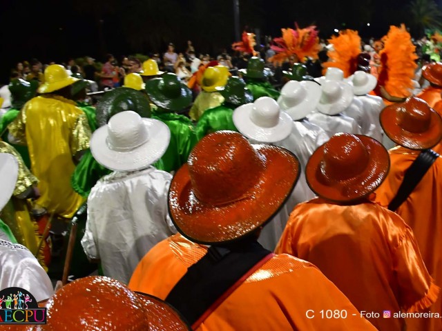desfile 220